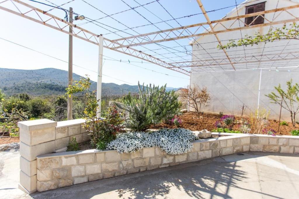 Apartment Mojas Doli Εξωτερικό φωτογραφία